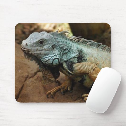 Wees niet blauw muismat (Met muis)