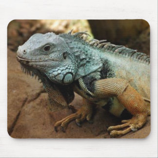 Wees niet blauw muismat