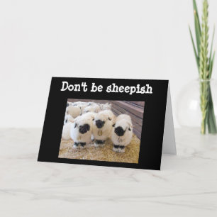 WEES NIET "SCHAAPACHTIG" BIJ "60" ZEGT SCHAPEN!!! KAART