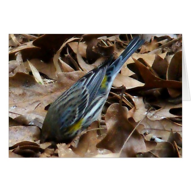 Wees niet verlegen! (Voorkant Horizontaal)