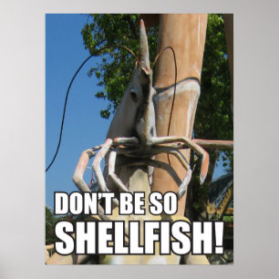 WEES NIET ZO SCHELPVIS! MEME POSTER