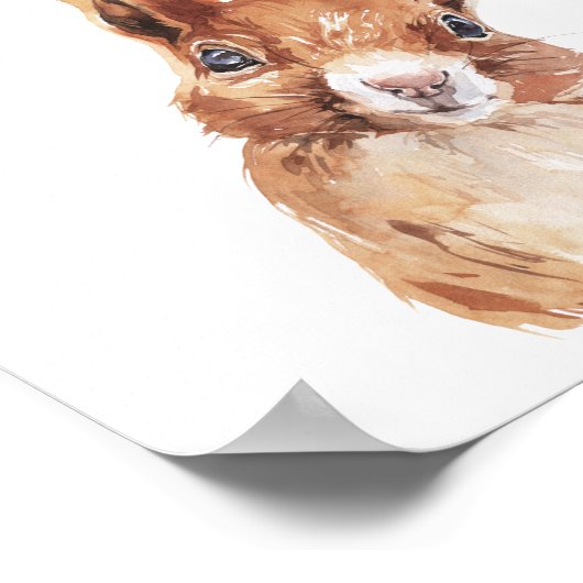 Wees nieuwsgierig rond de eekhoorn poster (Hoek)