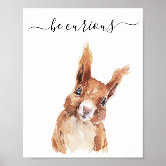 Wees nieuwsgierig rond de eekhoorn poster (Voorkant)