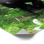 Wees Poster in de soort Baby Gorilla Quote Poster (Hoek)