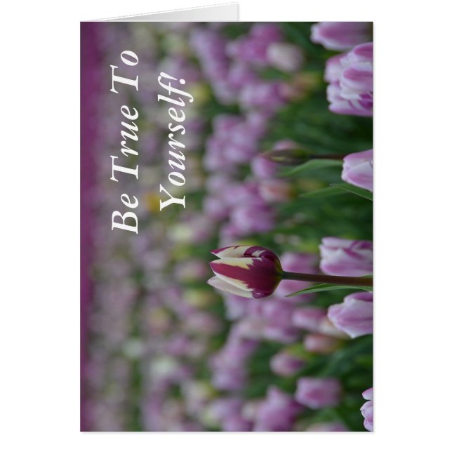 Wees trouw aan jezelf (Voorkant)