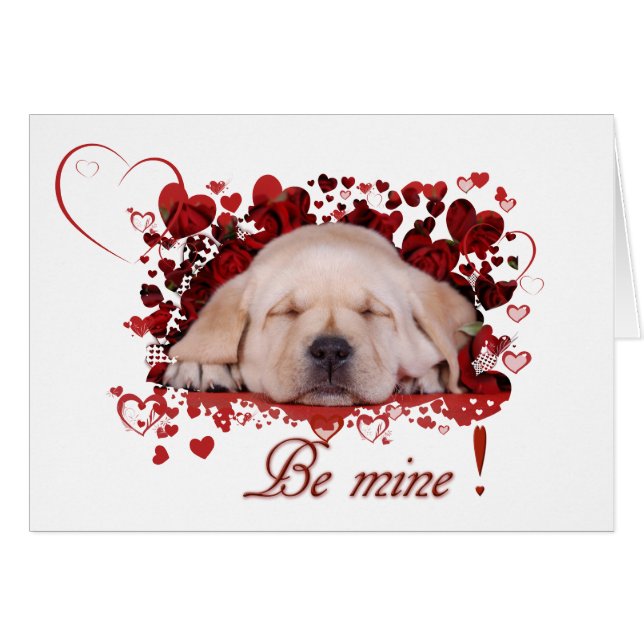 Wees van mij (Voorkant Horizontaal)