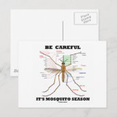 Wees voorzichtig met het mosquitoseizoen (muggenan briefkaart (Voorkant / Achterkant)