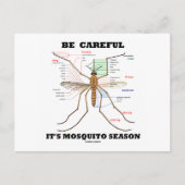 Wees voorzichtig met het mosquitoseizoen (muggenan briefkaart (Voorkant)