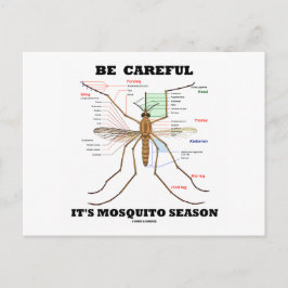 Wees voorzichtig met het mosquitoseizoen (muggenan briefkaart