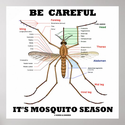 Wees voorzichtig met het mosquitoseizoen (muggenan poster (Voorkant)
