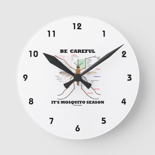 Wees voorzichtig met het mosquitoseizoen (muggenan ronde klok (Voorkant)
