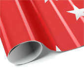 Wees vrolijk en glans helder inpakpapier (Rol Hoek)