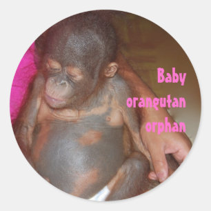 Weesbaby Dieren Orang-oetan Ronde Sticker