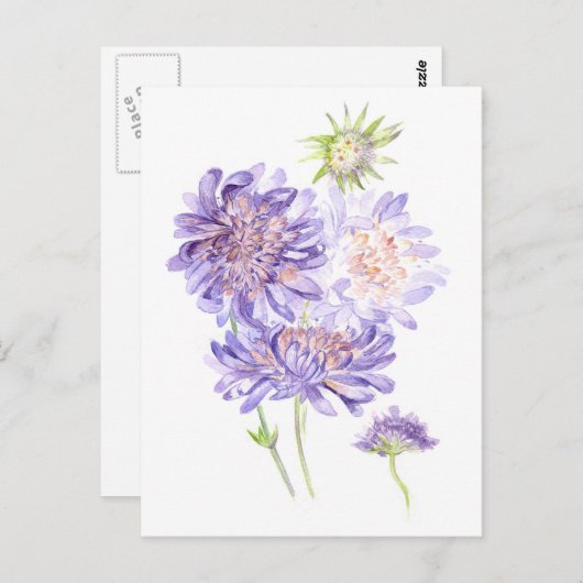weesbloemen briefkaart (Voorkant / Achterkant)