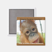 Weesdierlenteverhoging Magneet (Voorkant / Achterkant)