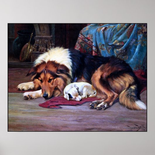 Weeshond gered door een Collie -  Art Print (Voorkant)