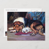 Weeshond met Collie  Art Briefkaart (Voorkant / Achterkant)