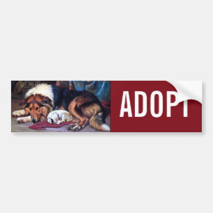 Weeshond met Collie  Art Bumpersticker