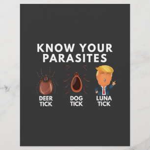 Weet dat je parasieten bent Anti-Trump Humor Polit Flyer