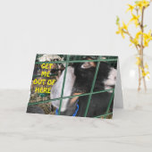 **WEET ME UIT* WIL ZEGGEN: "GEWELDIG GEBEUREN" KAART (Gele Bloem)