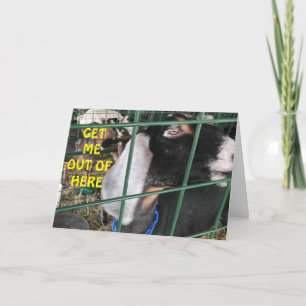 **WEET ME UIT* WIL ZEGGEN: "GEWELDIG GEBEUREN" KAART