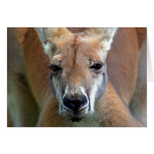 weg (Voorkant Horizontaal)