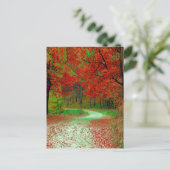 WEG BOS BOMEN BOTANISCH NATUUR LANDSCHAP  BRIEFKAART (Staand voorkant)