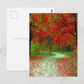 WEG BOS BOMEN BOTANISCH NATUUR LANDSCHAP  BRIEFKAART (Voorkant / Achterkant)