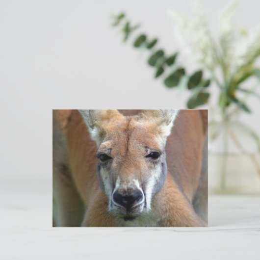 weg briefkaart (Staand voorkant)