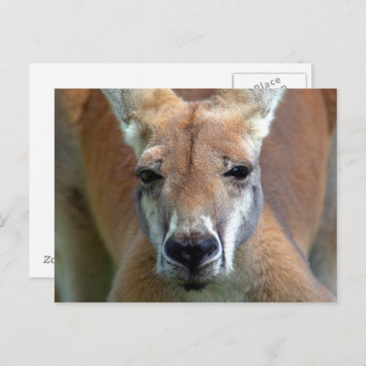 weg briefkaart (Voorkant / Achterkant)