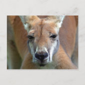 weg briefkaart (Voorkant)