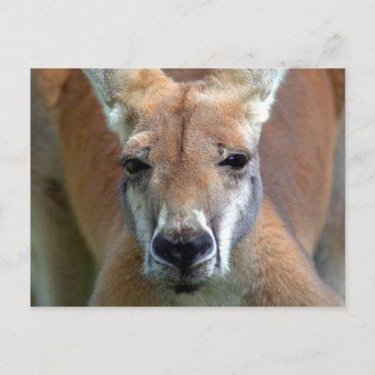 weg briefkaart (Voorkant)