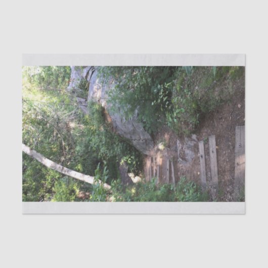 Weg door bomen tissuepapier (Voorkant)