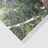 Weg door bomen tissuepapier (Detail)