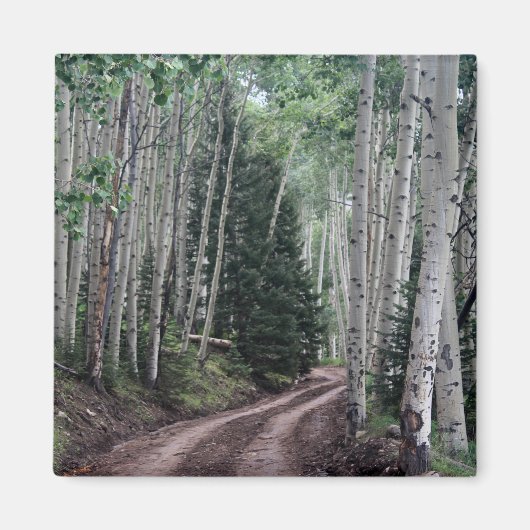 Weg door de berk magneet (Voorkant)