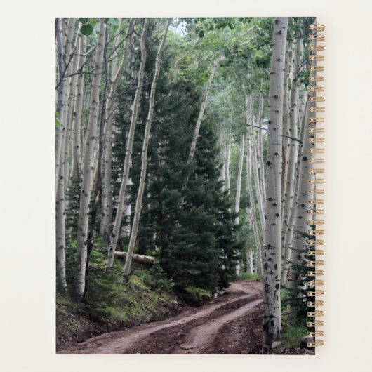 Weg door de berk planner (Achterkant)