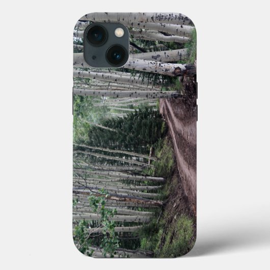 Weg door de berkenbomen iPhone-hoesjes Case-Mate iPhone Case (Achterkant)