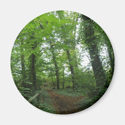 Weg door de Groene Bosmagneet Magneet (Voorkant)