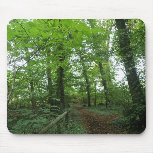 Weg door de Groene Bosmanden Muismat (Voorkant)
