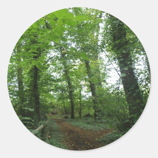 Weg door de Groene Stickers van het Bos (Voorkant)