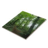 Weg door de Groene Tegel van het Bos Tegeltje (Zijkant)