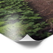 Weg door de grote roodbaars 2 foto afdruk (Hoek)