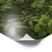 Weg door de grote roodbaars foto afdruk (Hoek)