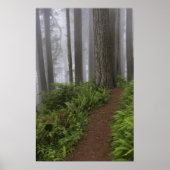 Weg door de grote roodbaars poster (Voorkant)