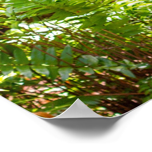 Weg door de palmen poster (Hoek)