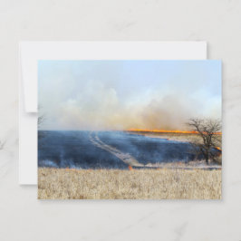 Weg door de Prairie Burn 24 x 16 Briefkaart