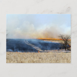 Weg door de Prairie Burn 24 x 16 Briefkaart