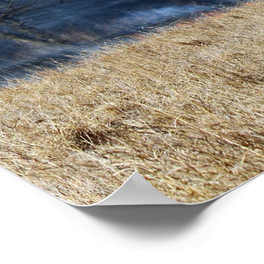 Weg door de Prairie Burn 24 x 16 Poster (Hoek)