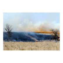 Weg door de Prairie Burn 24 x 16