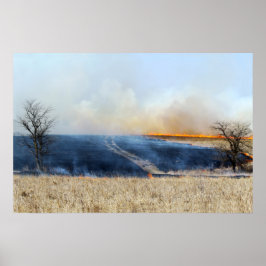 Weg door de Prairie Burn 24 x 16 Poster